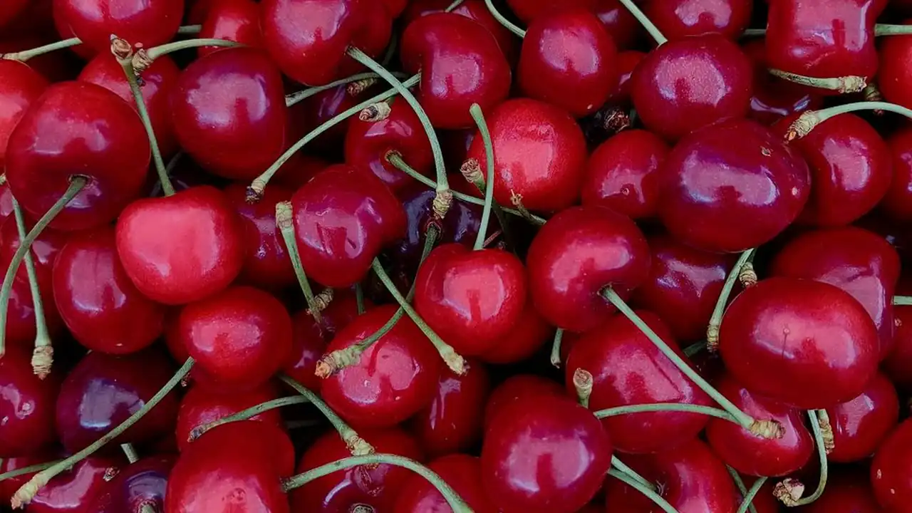 靠逼吧释放压力的新方式