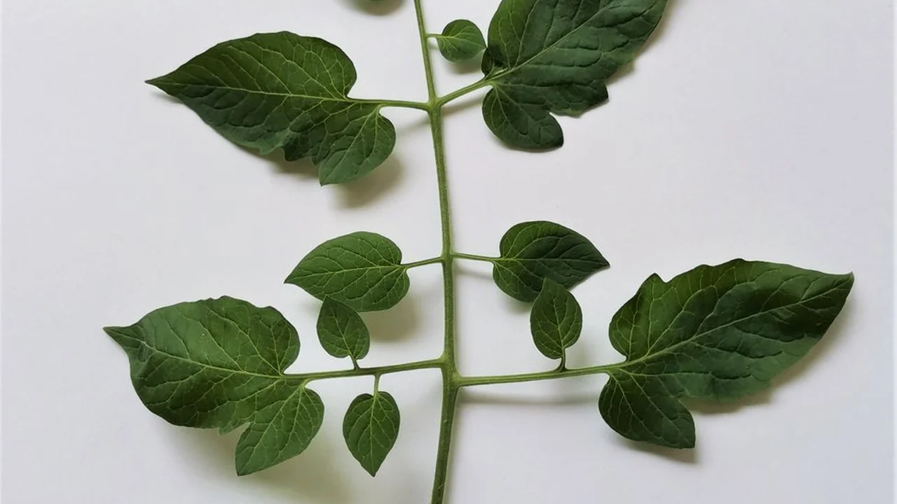 闽福影视文化传媒有限公司打造影视精品的幕后推手